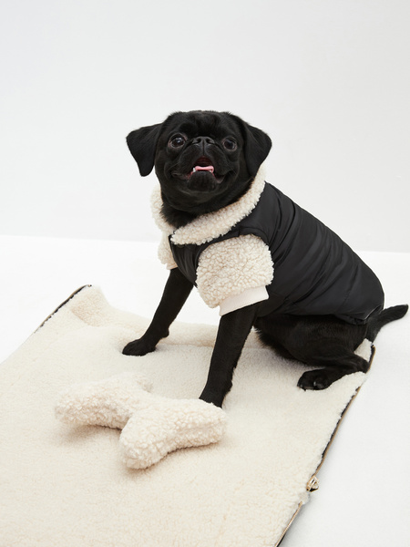 Одежда для собак купить в интернет-магазине sauna-chelyabinsk.ru