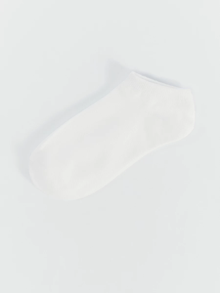 ZR2511060901-1
